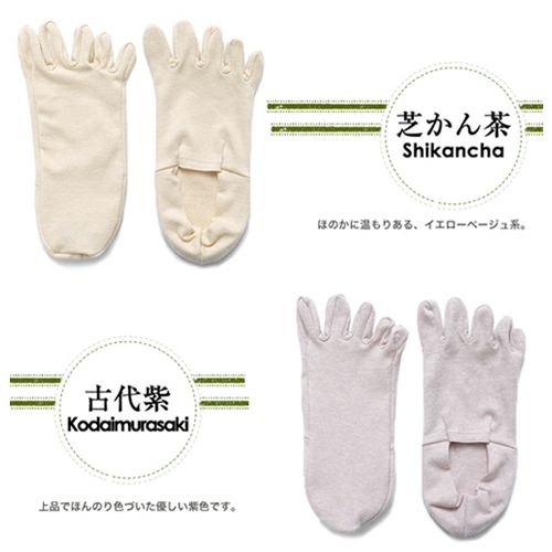 カラーバリエーション　芝かん茶　古代紫