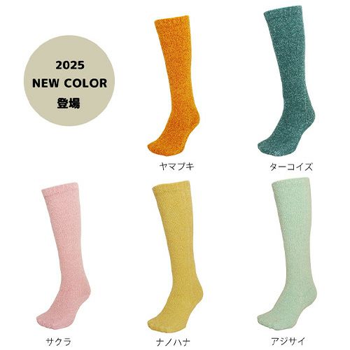 カラーバリエーション