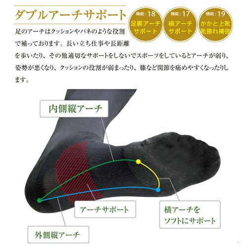 ダブルアーチサポート