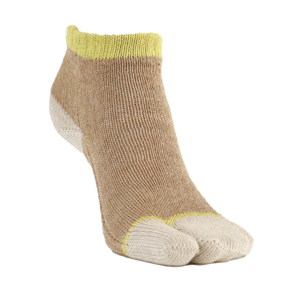 トライカラーキャメル