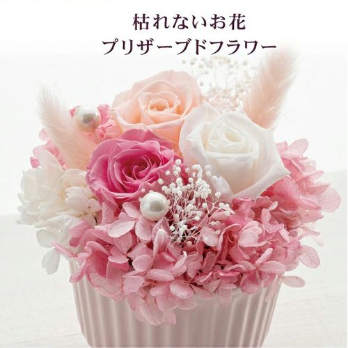 プリザードフラワー詳細｜GlovesDEPO（グローブデポ）