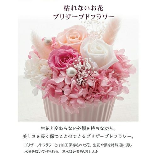 プリザードフラワー詳細｜GlovesDEPO（グローブデポ）